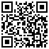 QR Code Handyversion