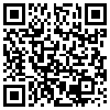 QR Code Handyversion