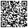 QR Code Handyversion