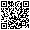 QR Code Handyversion