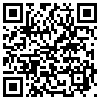 QR Code Handyversion