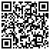 QR Code Handyversion