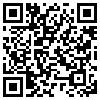 QR Code Handyversion