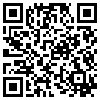 QR Code Handyversion