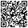 QR Code Handyversion