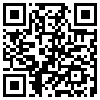 QR Code Handyversion