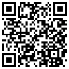 QR Code Handyversion