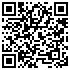 QR Code Handyversion