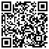 QR Code Handyversion