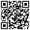 QR Code Handyversion