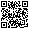 QR Code Handyversion