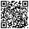 QR Code Handyversion