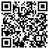 QR Code Handyversion