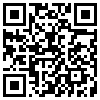 QR Code Handyversion