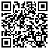 QR Code Handyversion