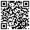 QR Code Handyversion