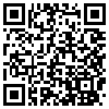 QR Code Handyversion