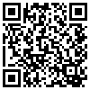 QR Code Handyversion