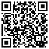 QR Code Handyversion