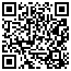 QR Code Handyversion