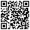 QR Code Handyversion