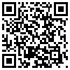 QR Code Handyversion