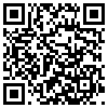 QR Code Handyversion