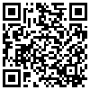 QR Code Handyversion