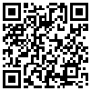 QR Code Handyversion