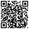 QR Code Handyversion