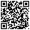 QR Code Handyversion