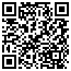 QR Code Handyversion