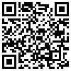 QR Code Handyversion