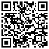 QR Code Handyversion