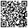 QR Code Handyversion