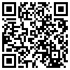 QR Code Handyversion