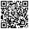 QR Code Handyversion