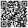 QR Code Handyversion