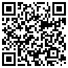 QR Code Handyversion