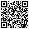 QR Code Handyversion