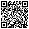 QR Code Handyversion