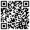 QR Code Handyversion