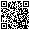 QR Code Handyversion