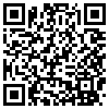 QR Code Handyversion