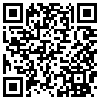 QR Code Handyversion