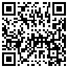 QR Code Handyversion