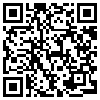 QR Code Handyversion