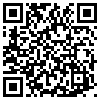 QR Code Handyversion