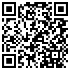 QR Code Handyversion