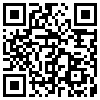 QR Code Handyversion